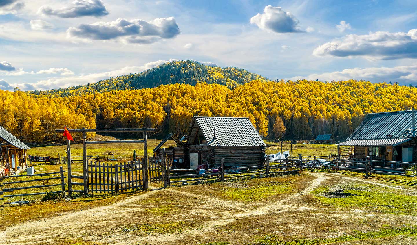 自然资源部关于进一步做好地籍调查工作的通知