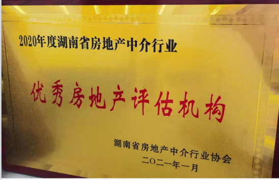 2020年“优秀房地产评估机构”
